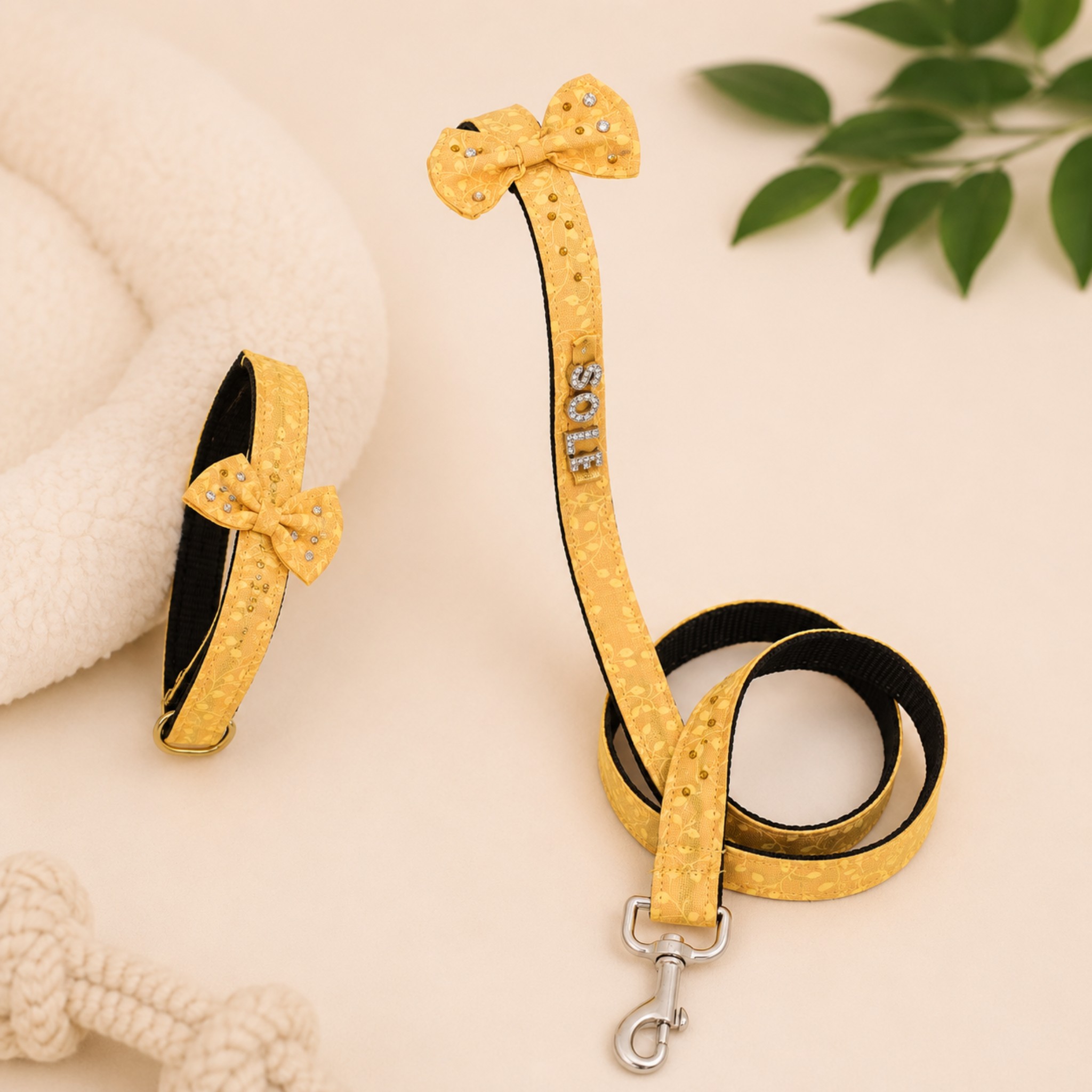 Set Collare e Guinzaglio Personalizzato con Fiocco e Charm